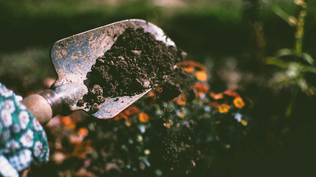 Soil img.