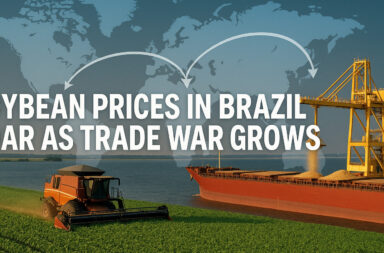 Brazil’s Soybean Export